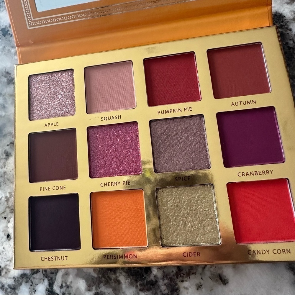 Ace Beaute eyeshadow pallet orange brown pink NEW